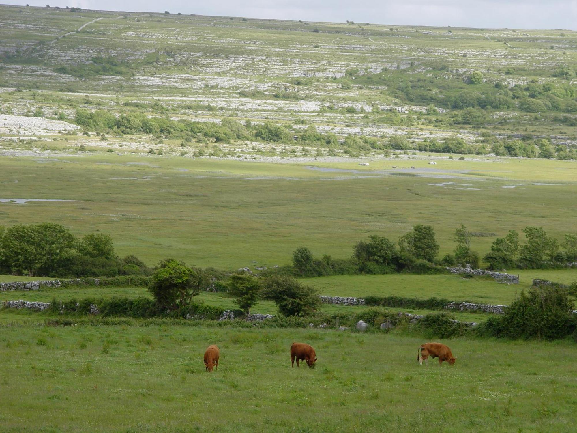Clare'S Rock Self-Catering Accommodation Carron Kültér fotó
